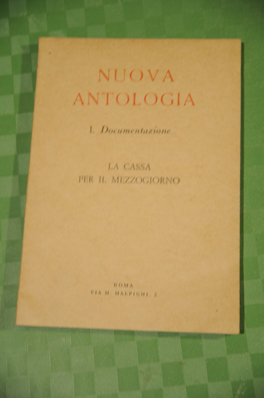 la cassa per il mezzogiorno