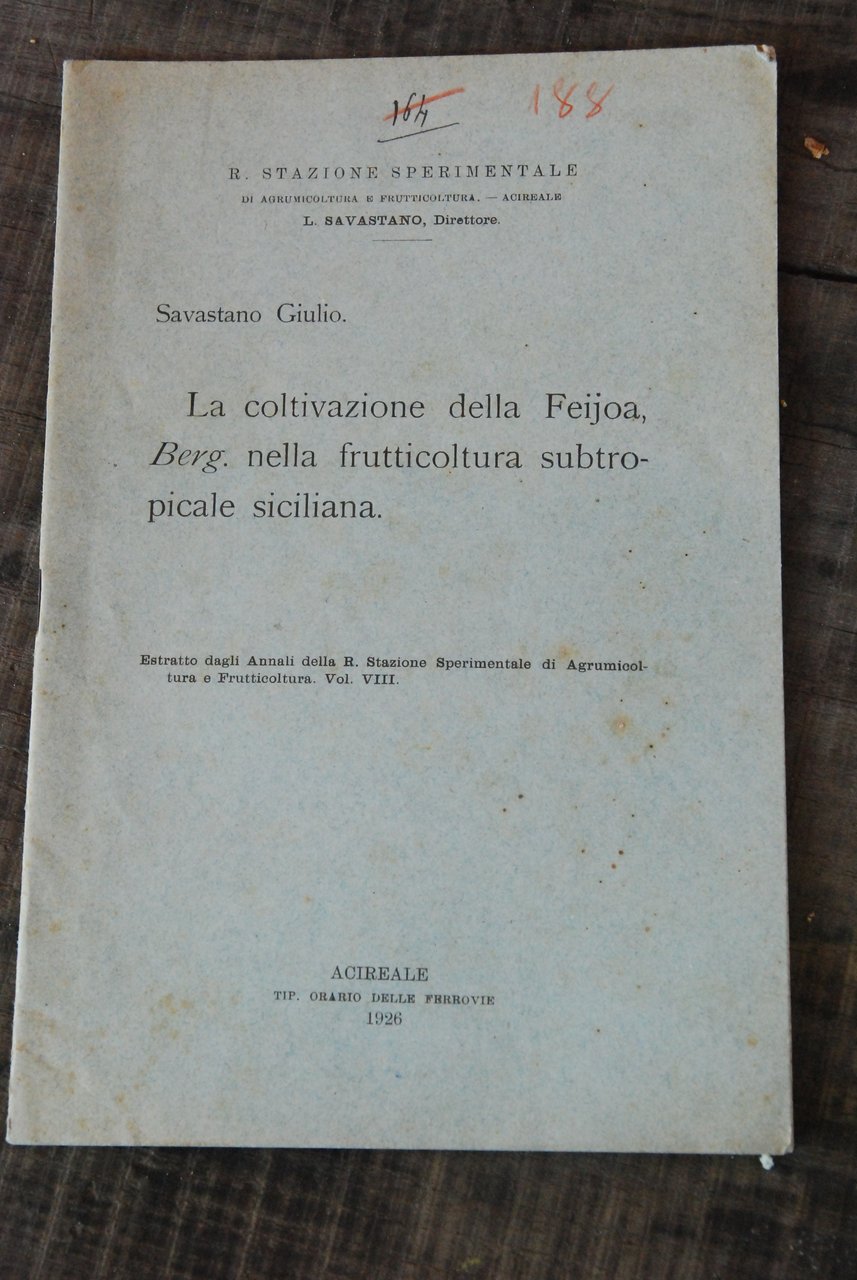 la coltivazione della feijoa berg nella frutticoltura subtropicale siciliana