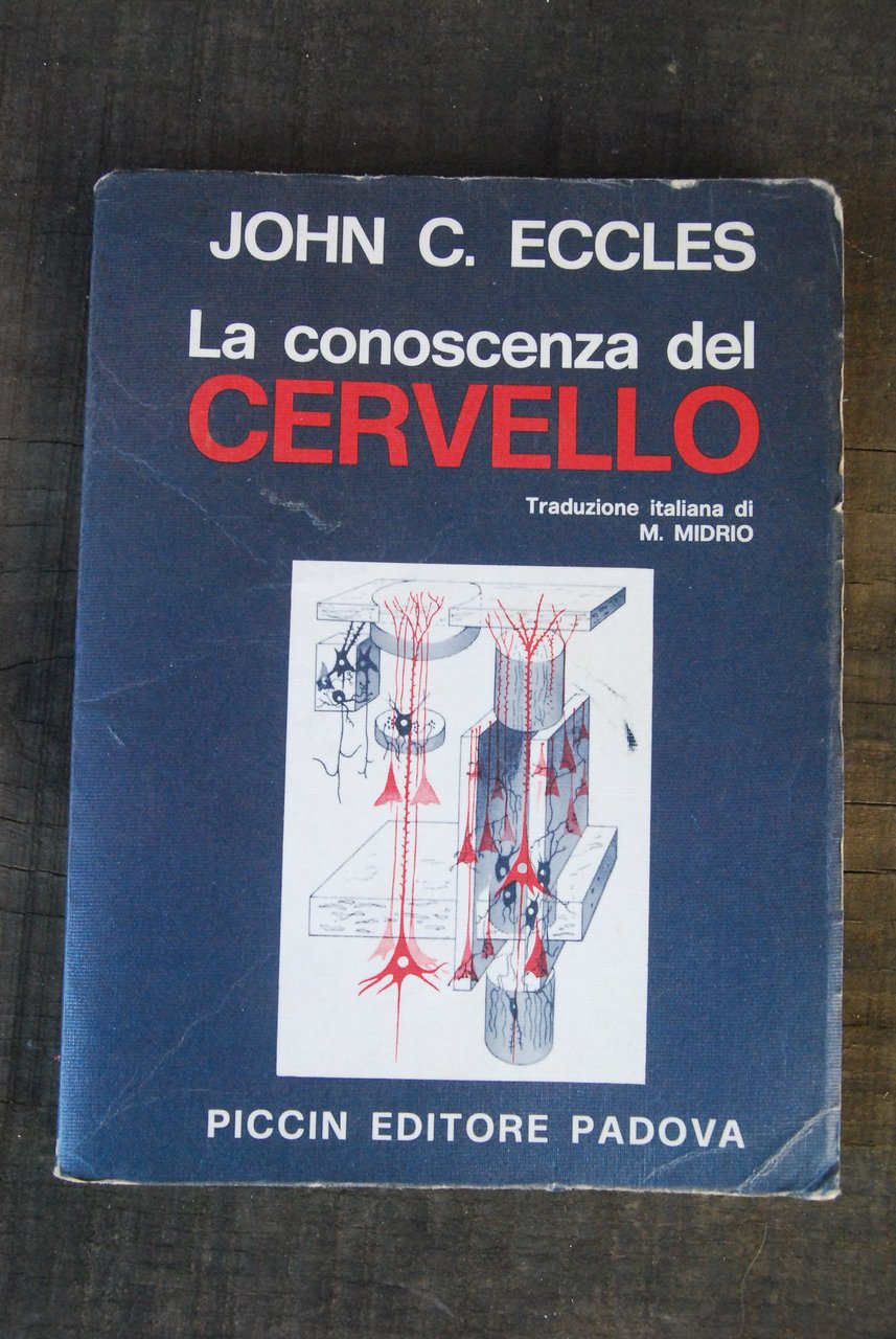 la conoscenza del cervello | Immagine principale