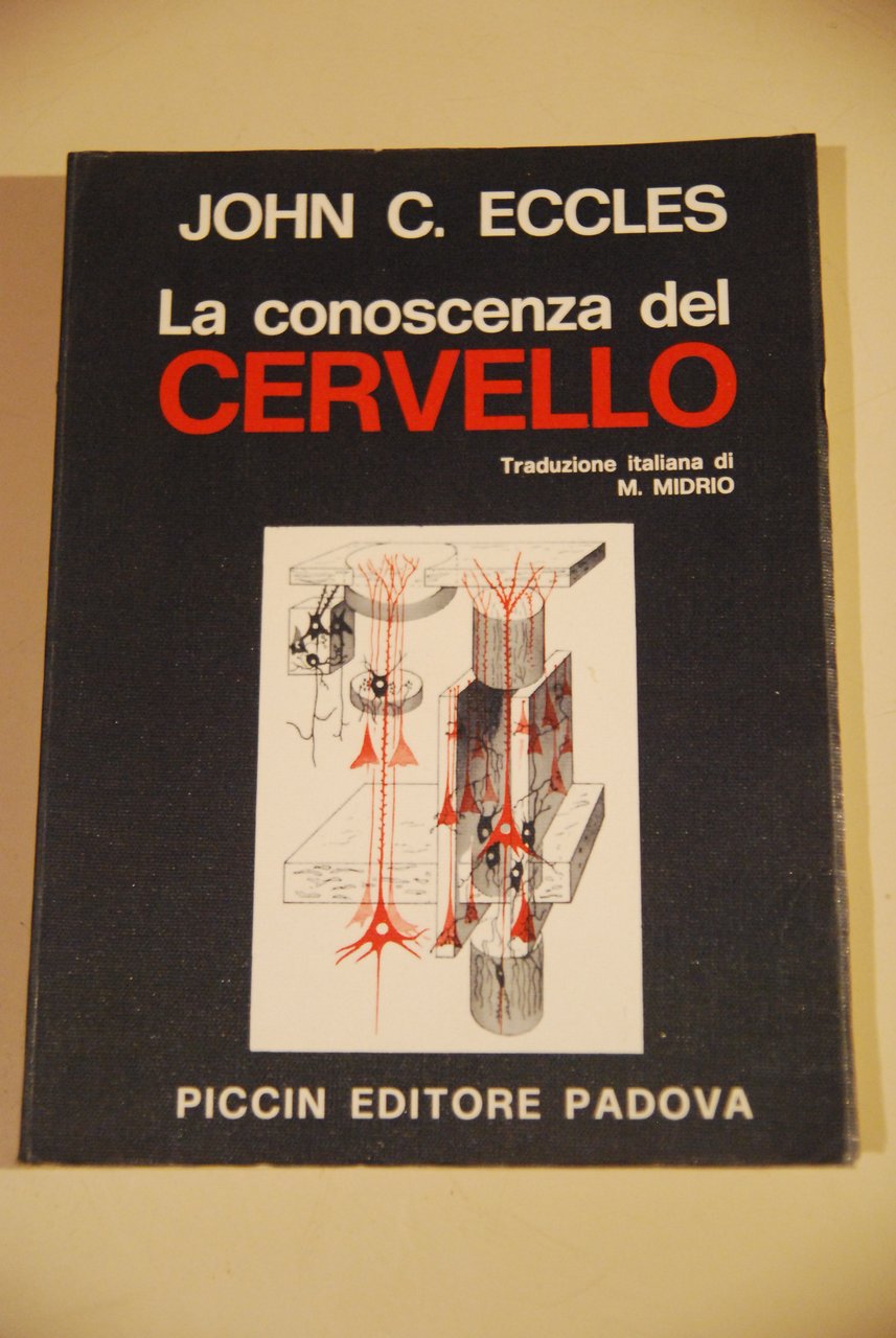 la conoscenza del cervello NUOVO