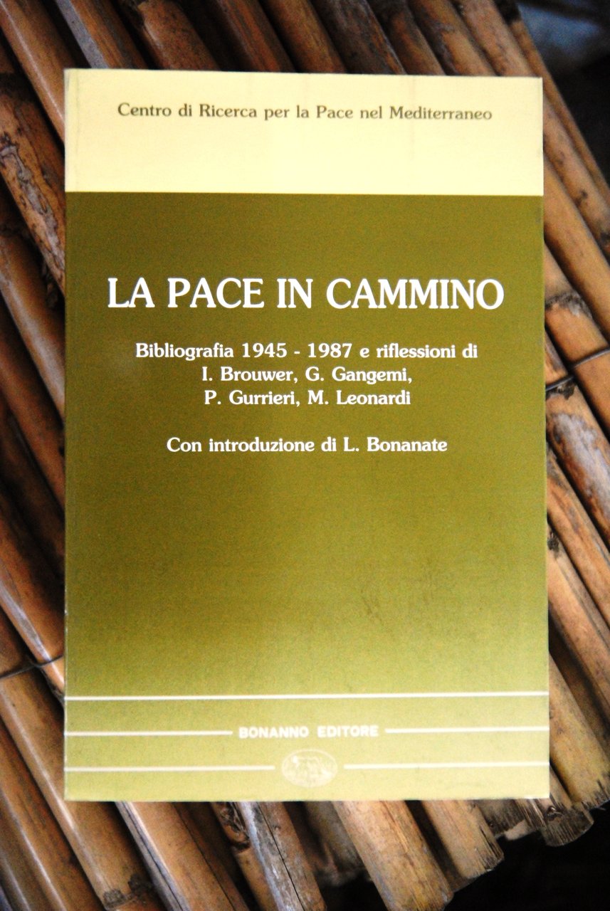 la pace in cammino