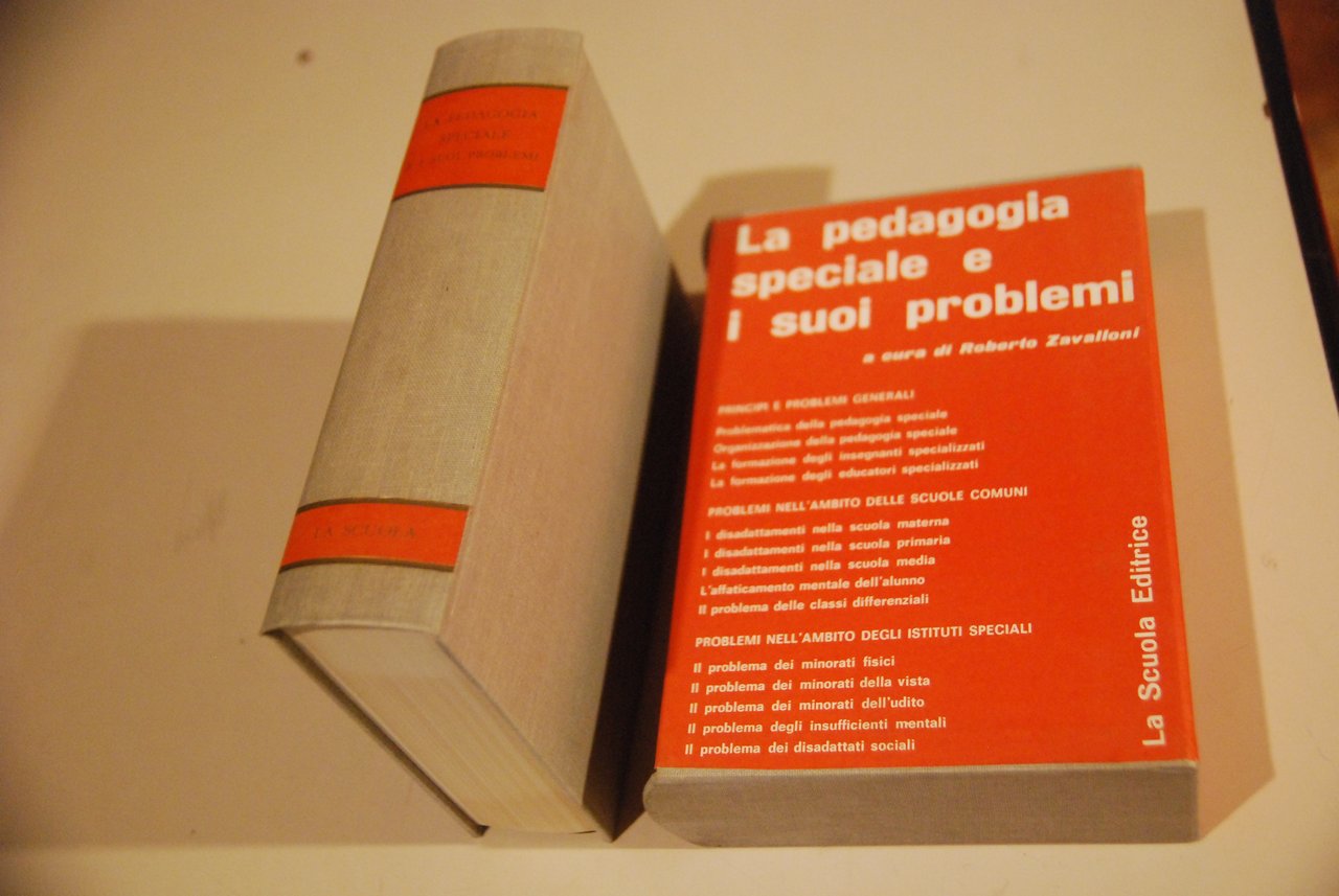 la pedagogia speciale e i suoi problemi NUOVISSIMO