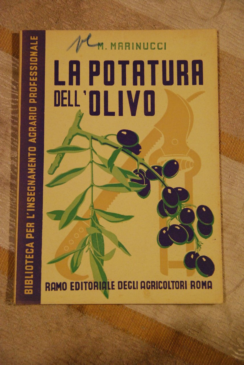 la potatura dell'olivo NUOVISSIMO | Immagine principale