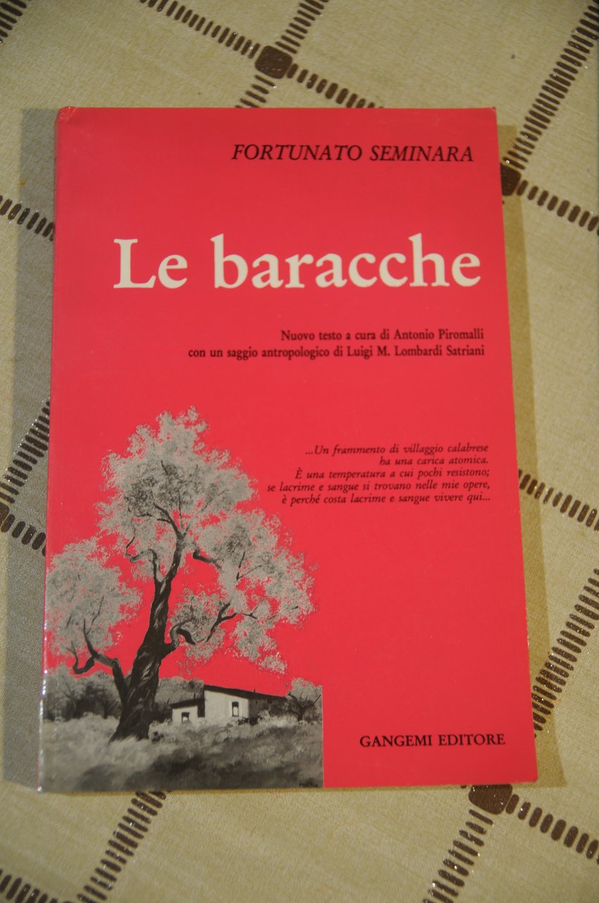 le baracche NUOVISSIMO | Immagine principale