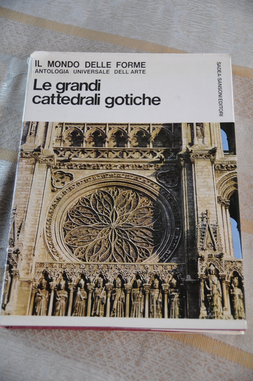 Le grandi cattedrali gotiche