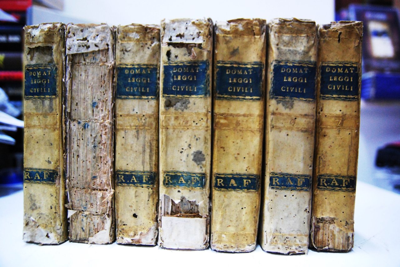 Le leggi civili nel loro ordine naturale in 7 volumi … | Immagine principale
