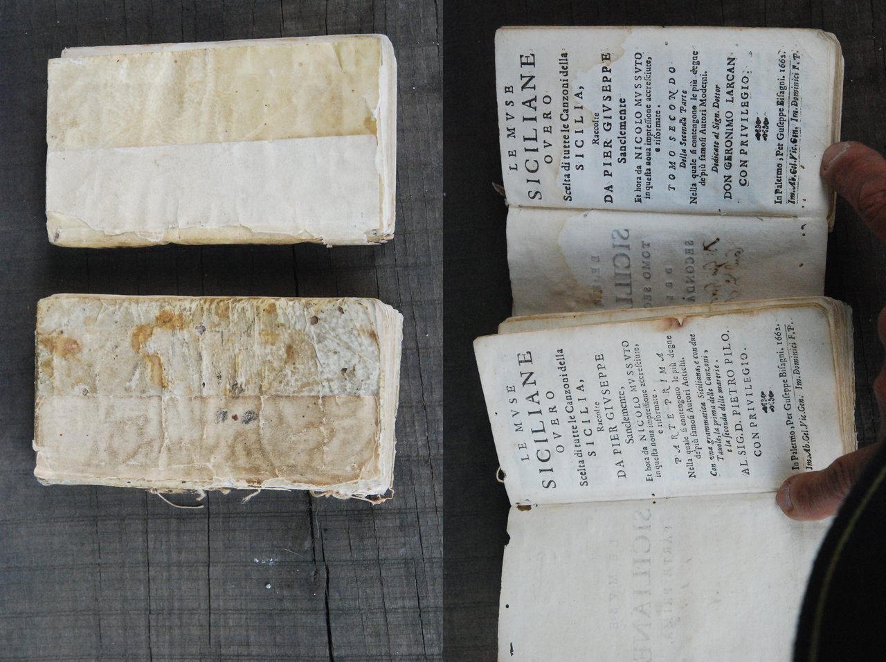 le muse siciliane seicentine overo scelta di tutte le canzoni …