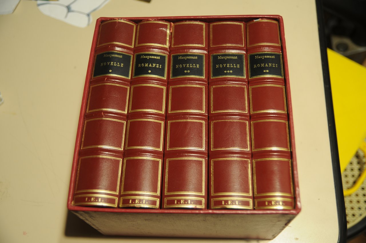 le novelle i romanzi