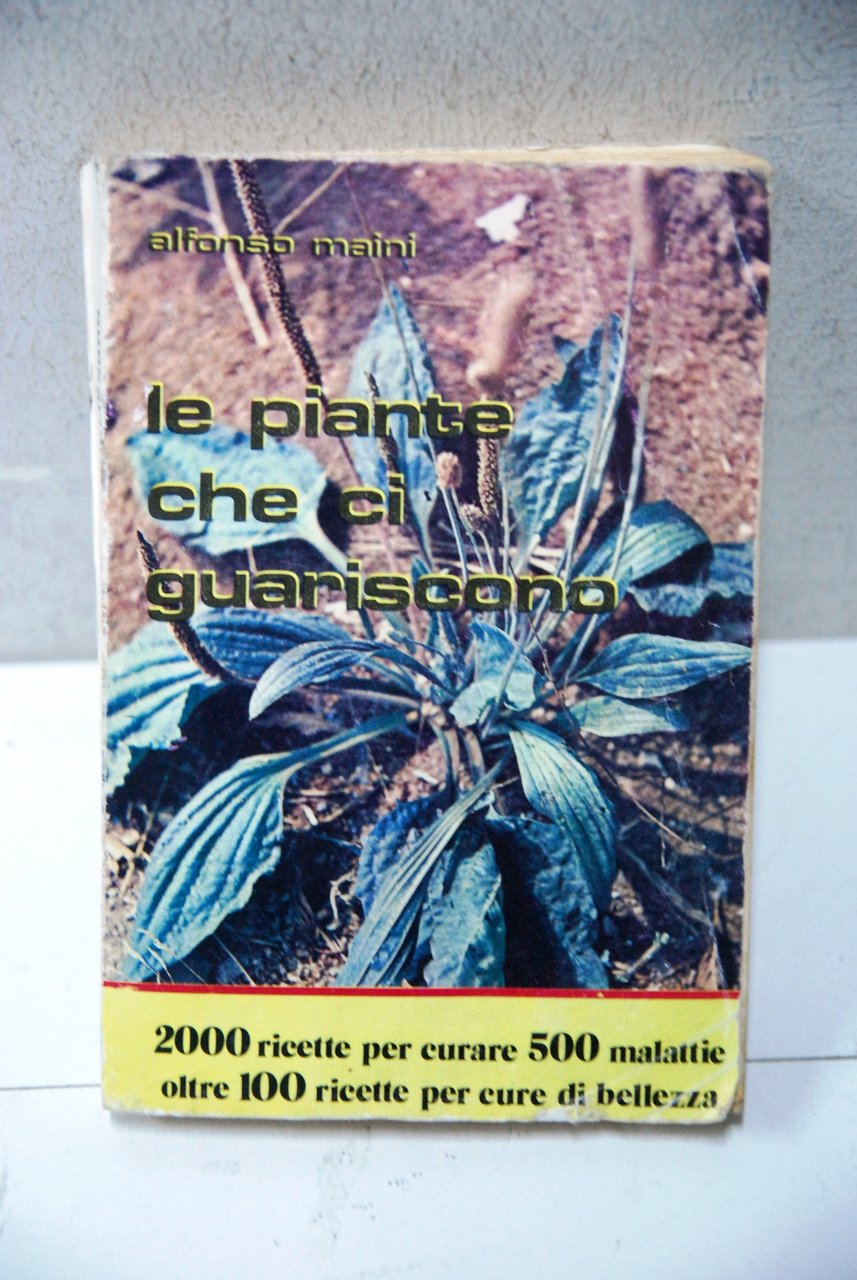 le piante che ci guariscono | Immagine principale