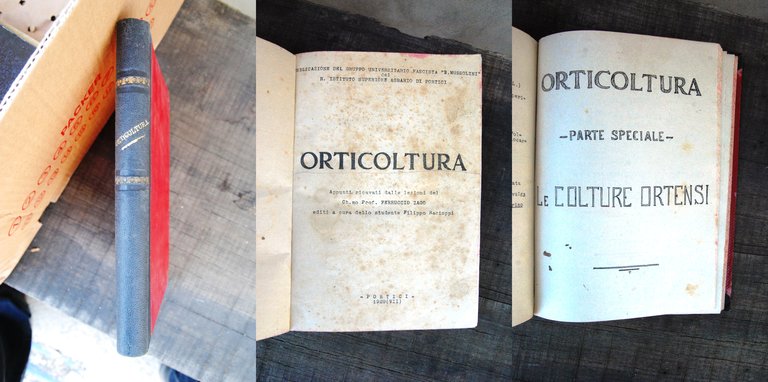 lezioni di orticoltura e parte speciale le colture ortensi