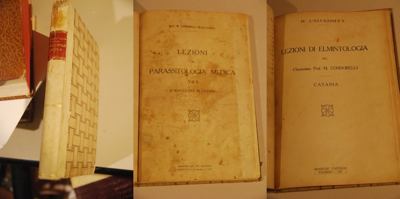 lezioni di parassitologia medica condorelli lezioni di elmintologia