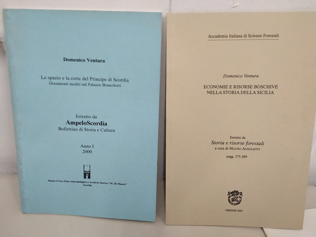 lo spazio e la corte del principe di scordia economie … | Immagine principale