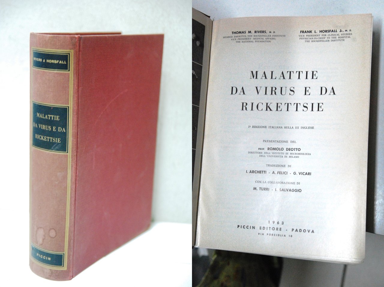 malattie da virus e da rickettsie prime d.