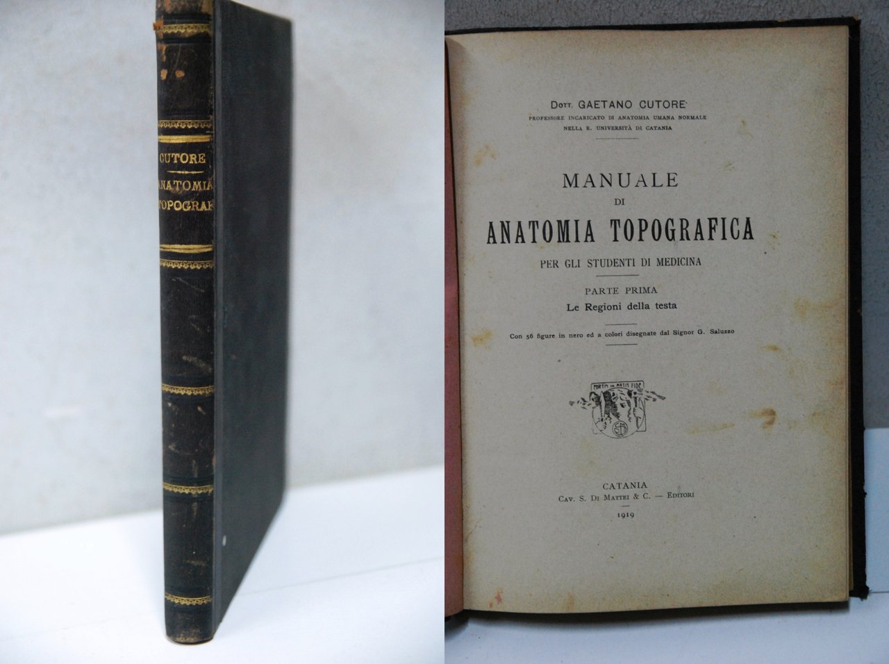 MANUALE DI ANATOMIA TOPOGRAFICA per gli studenti in medicina le … | Immagine principale