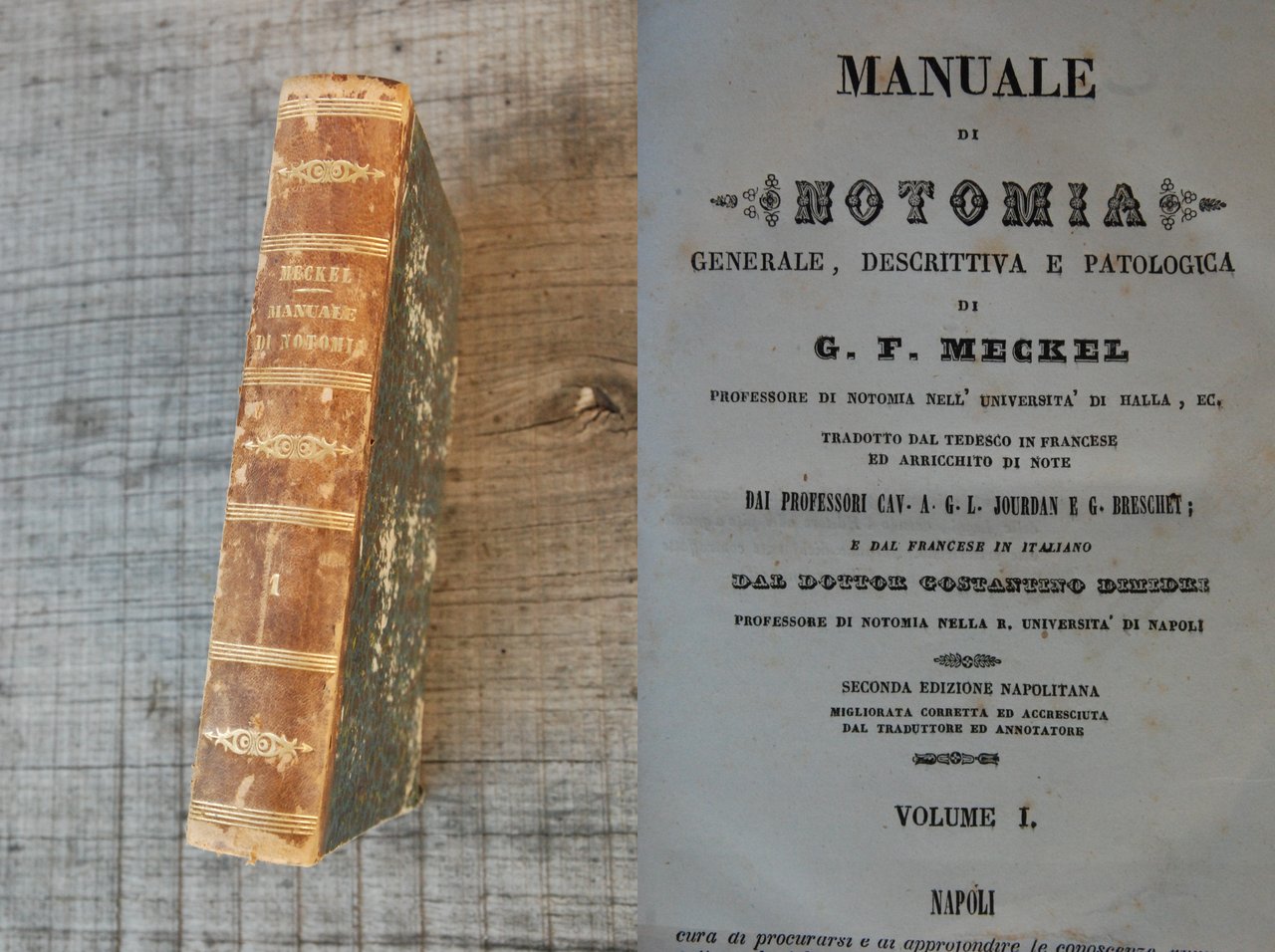 manuale di notomia generale descrittiva e patologica 2 ediz. napoletana …