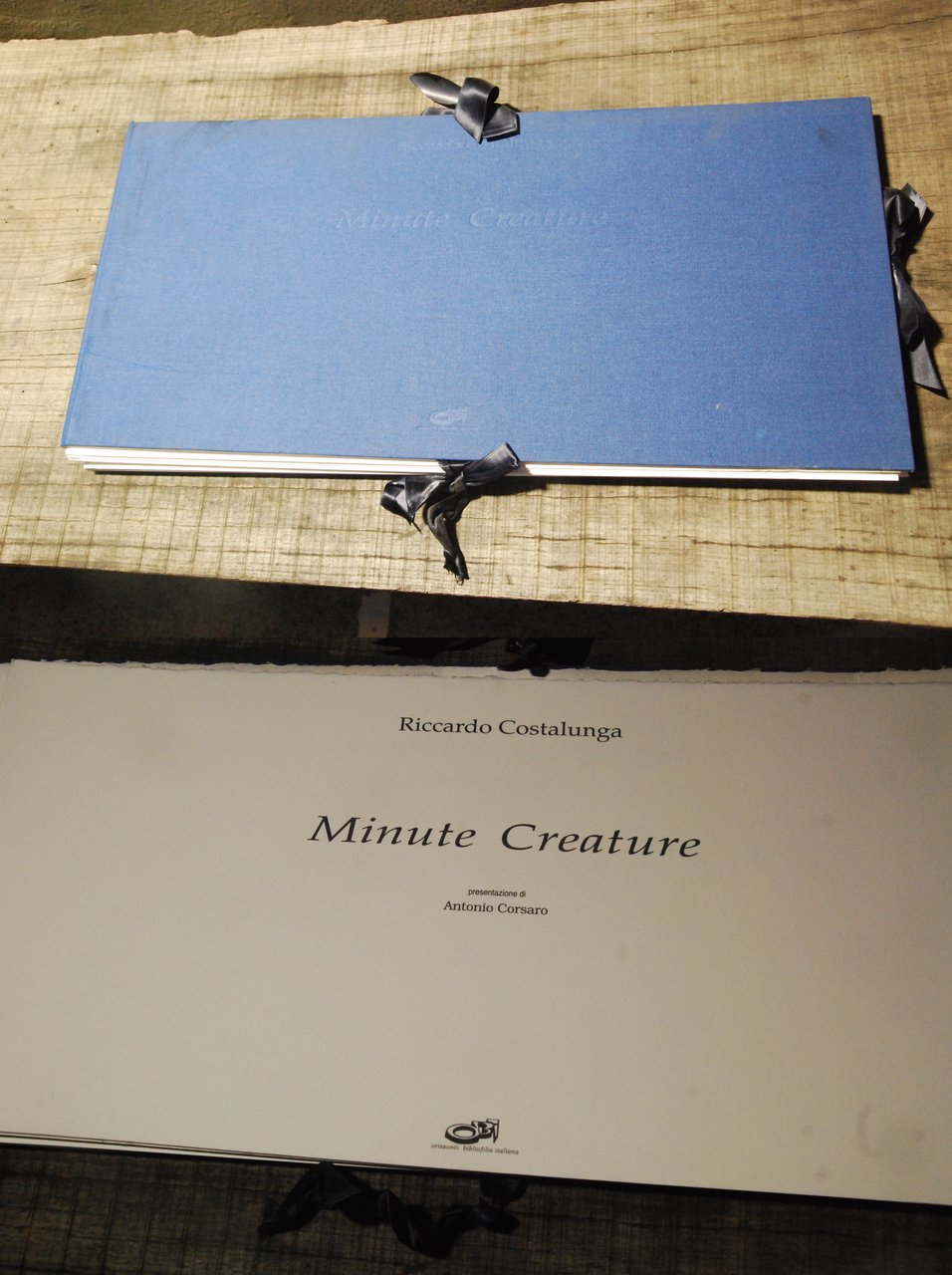 minute creature copia viii di xx