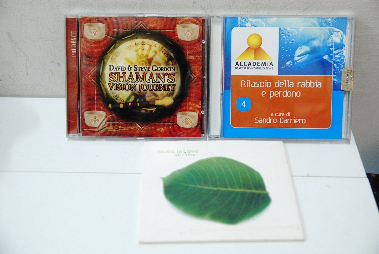 music is love di noce david steve gordon shaman's vision …