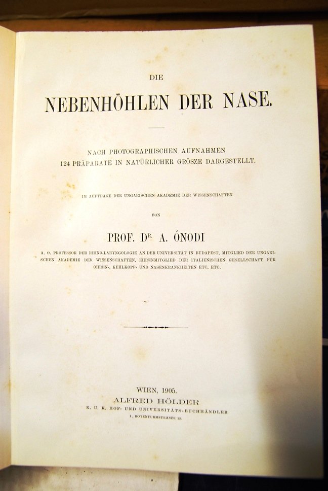 Nebenhohlen der nase | Immagine principale