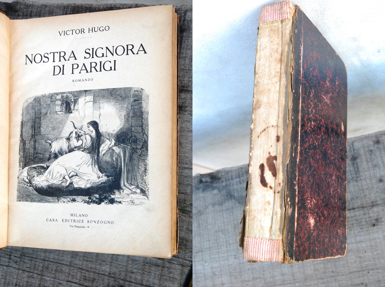 nostra signora di parigi nerbini