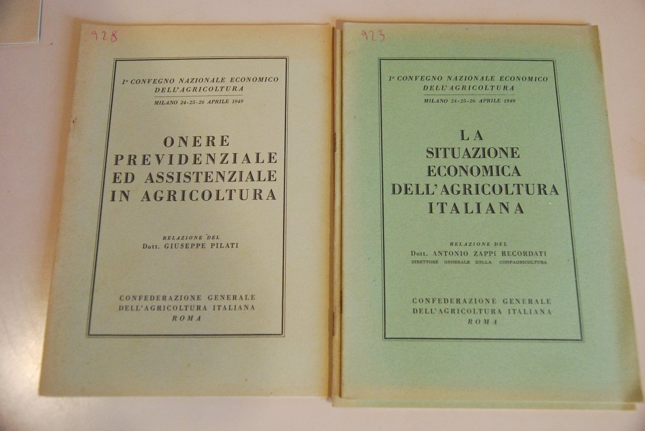 onere previdenziale ed assistenziale in la situazione economica italiana