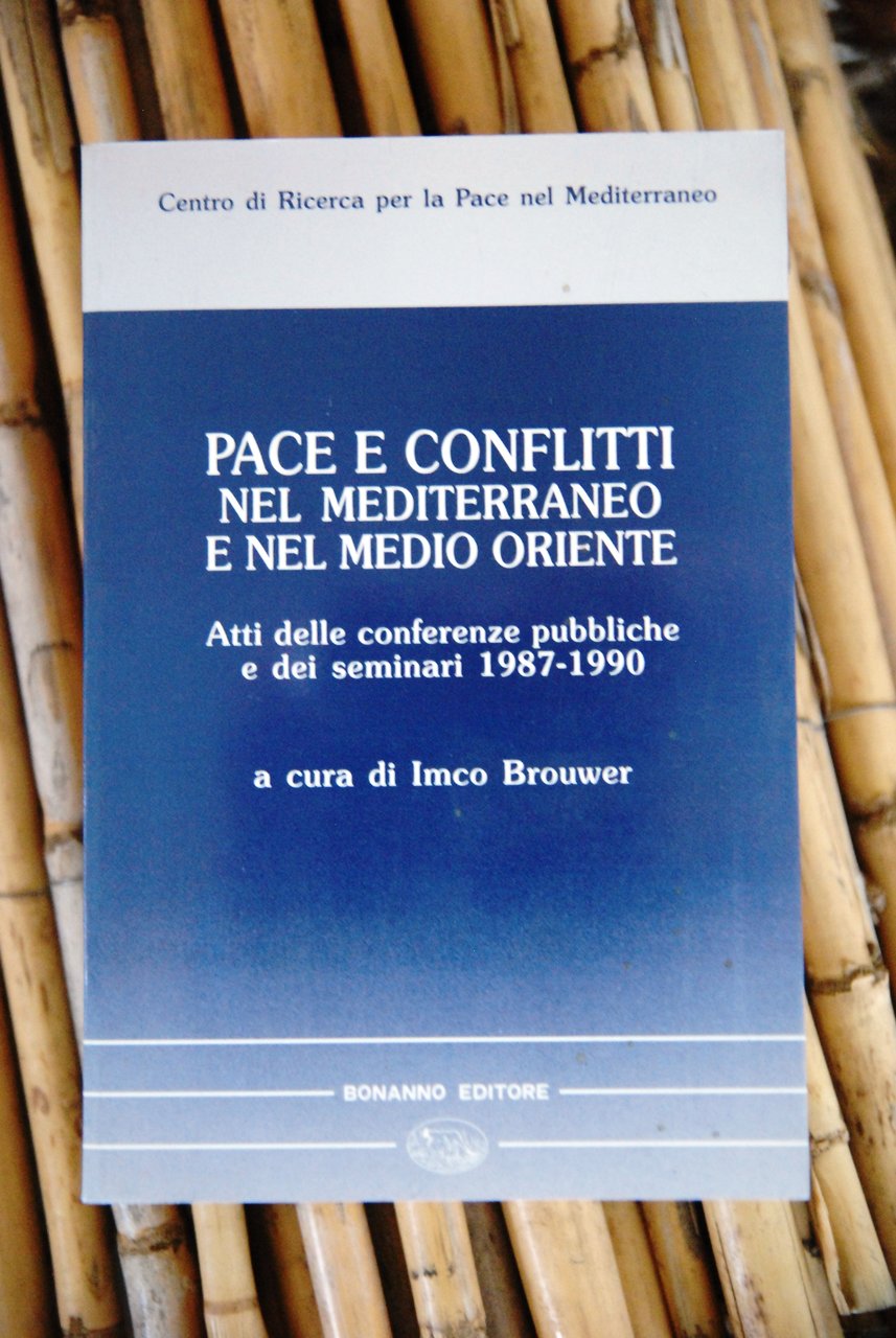 pace e conflitti nel mediterraneo e nel medio oriente NUOVO