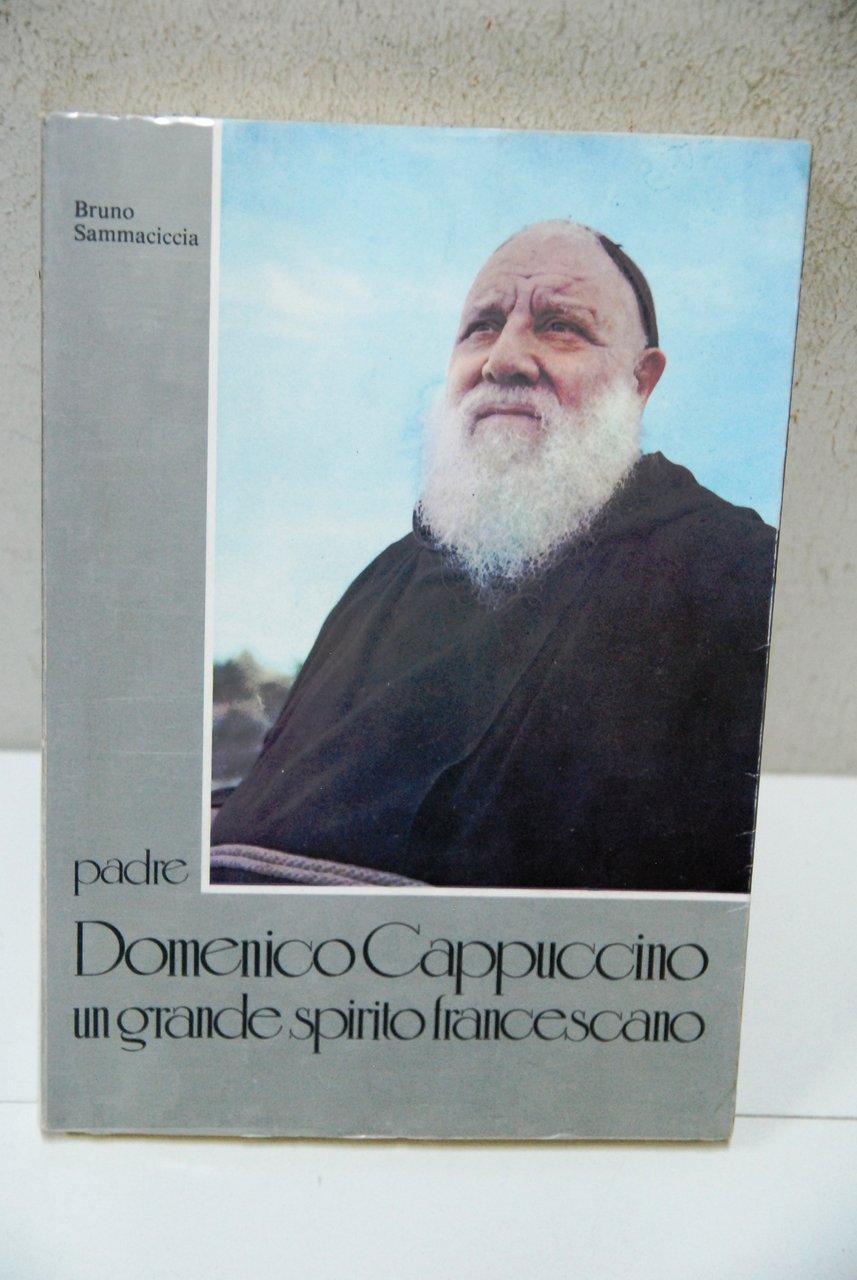 padre domenico cappuccino un grande spirito francescano | Immagine principale