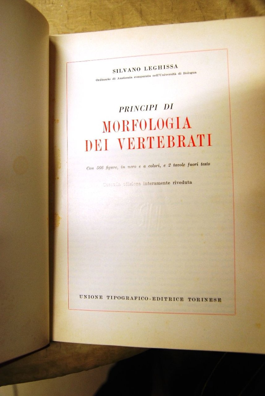 Principi di Morfologia dei Vertebrati