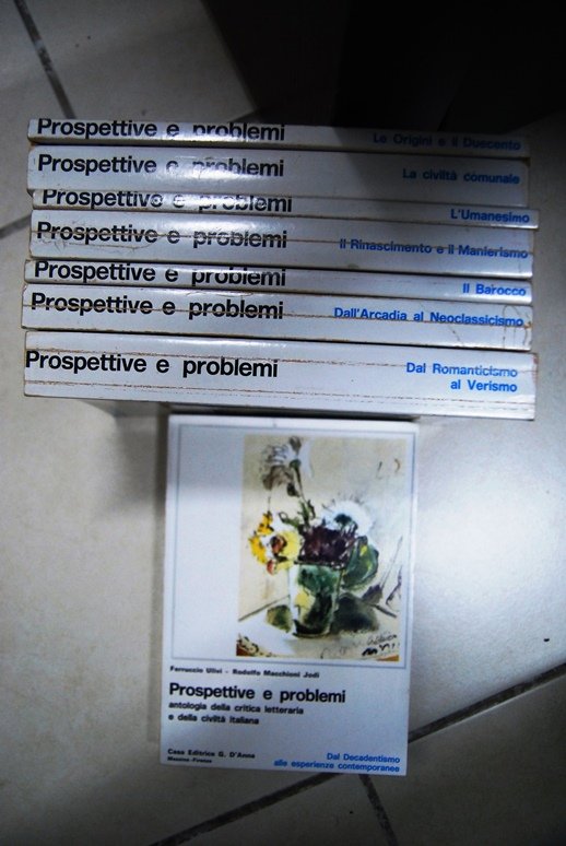 Prospettive e problemi, antologia della critica letteraria e della civiltà … | Immagine principale