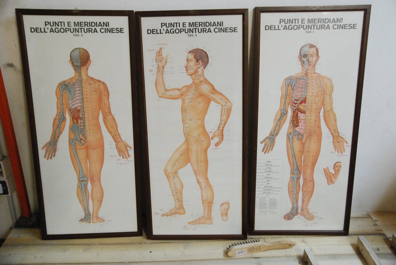 punti e meridiani dell'agopuntura cinese tav. 1, 2, 3 tre … | Immagine principale