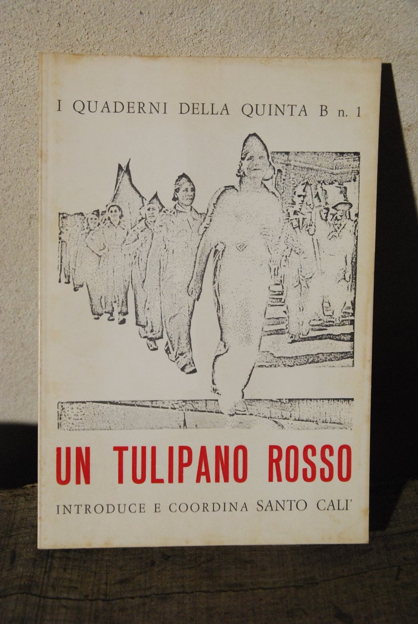 quaderni della quinta B un tulipano rosso