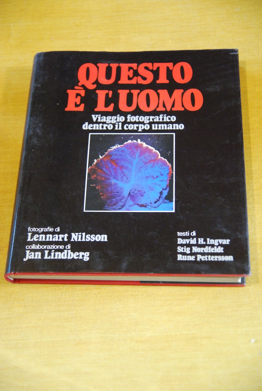 questo è l'uomo viaggio fotografico dentro il corpo umano