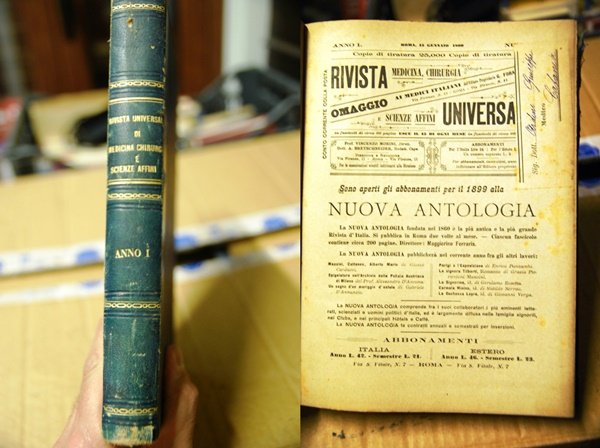 Rivista Universale di Medicina e Chirurgia e scienze affini, anno …