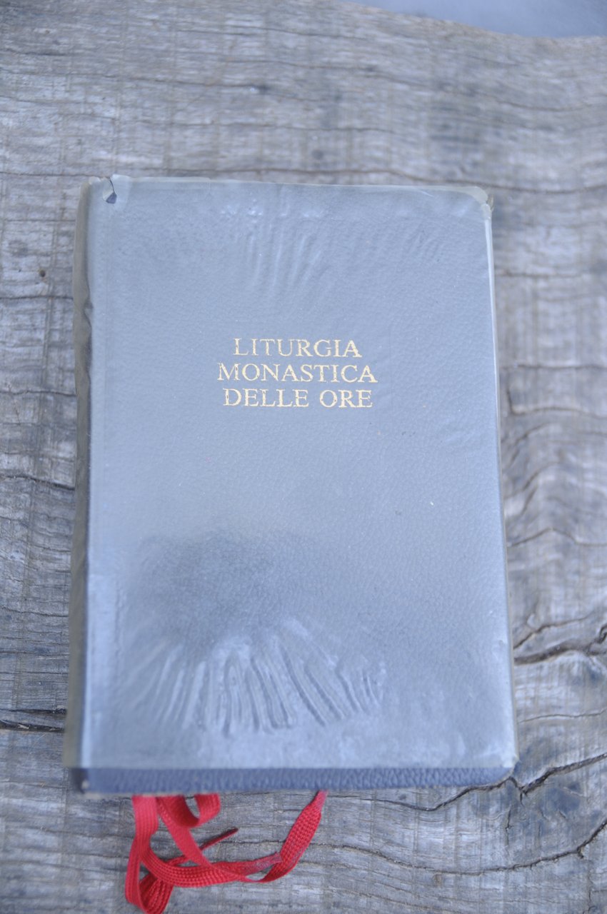 SCHEMA B SCRITTI MONASTICI nuovissimo