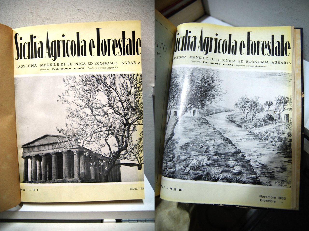 Sicilia agricola e forrestale | Immagine principale