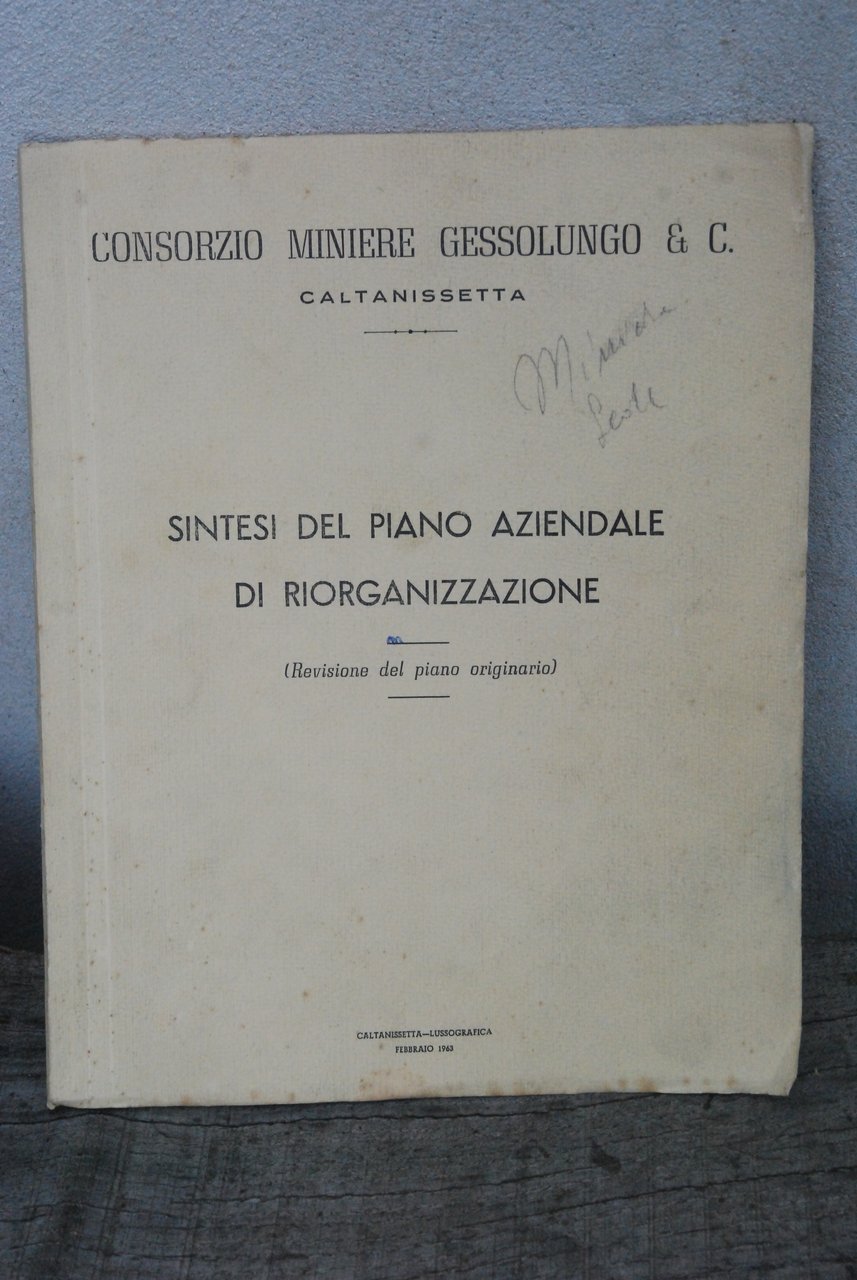 sintesi del piano aziendale di riorganizzazione