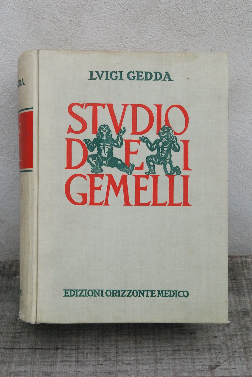 studio dei gemelli NUOVO