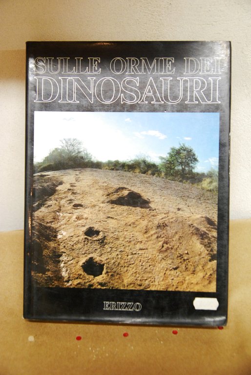 sulle orme dei dinosauri NUOVO