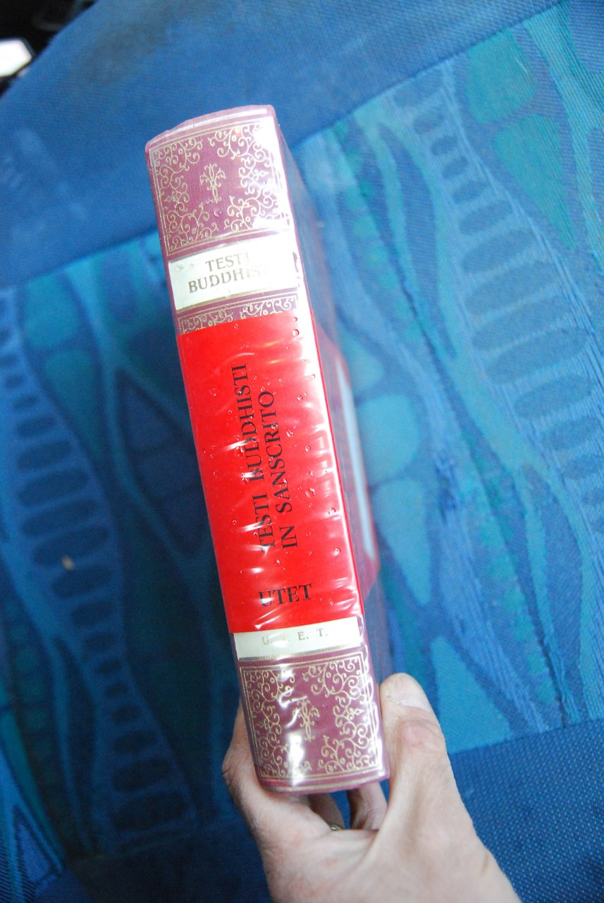 testi buddhisti in sanscrito NUOVO | Immagine principale