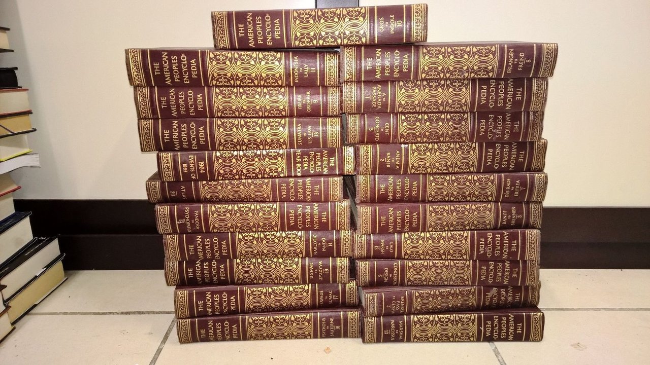 The American People Encyclopedia 21 volumi (Collana Completa)