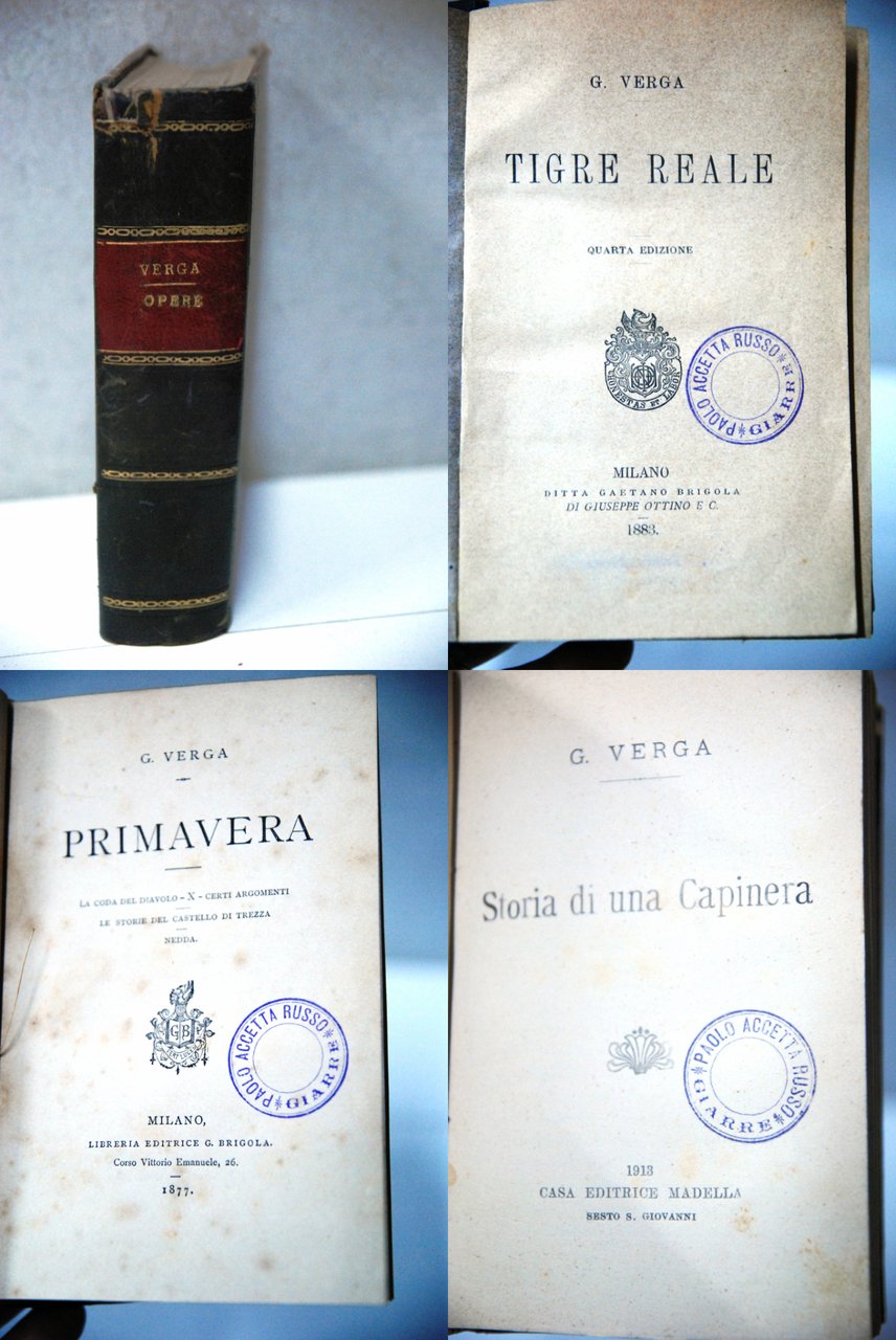 tigre reale (1883) primavera (1877) brigola , storia di una … | Immagine principale