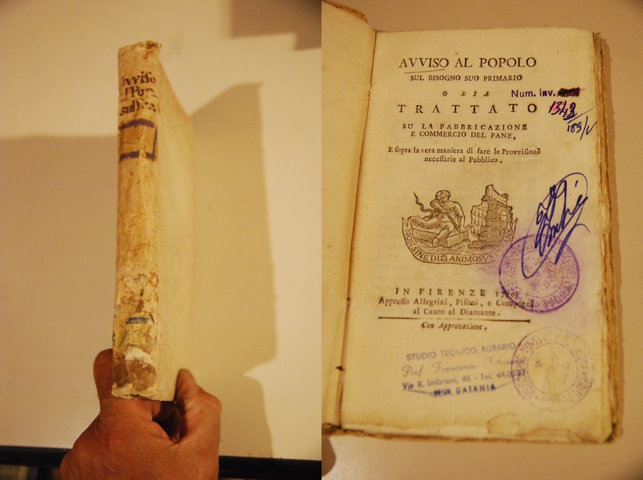 trattato su la fabbricazione e commercio del pane (senza stampe)