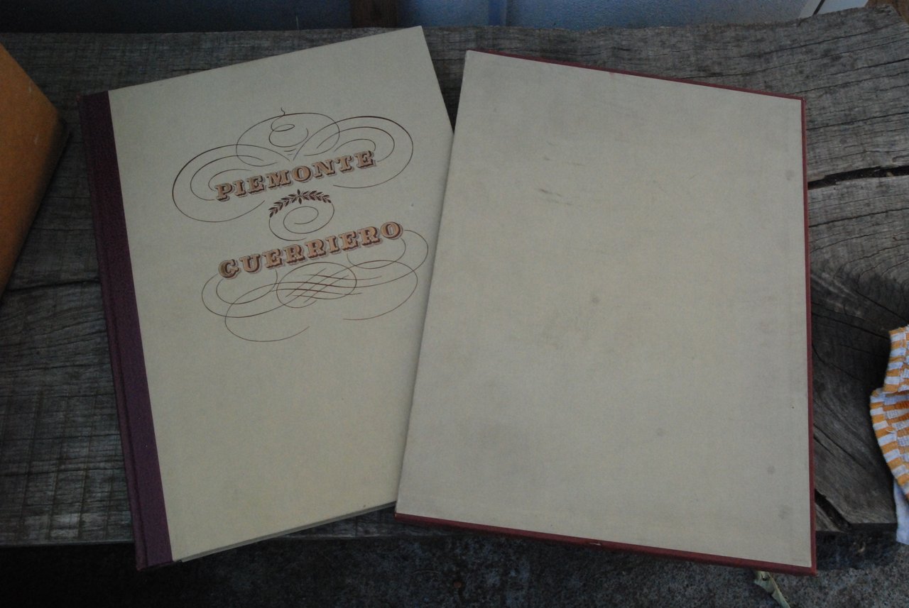 uniformi dello stato sardo 1838 di francesco gonin 14 ill. …