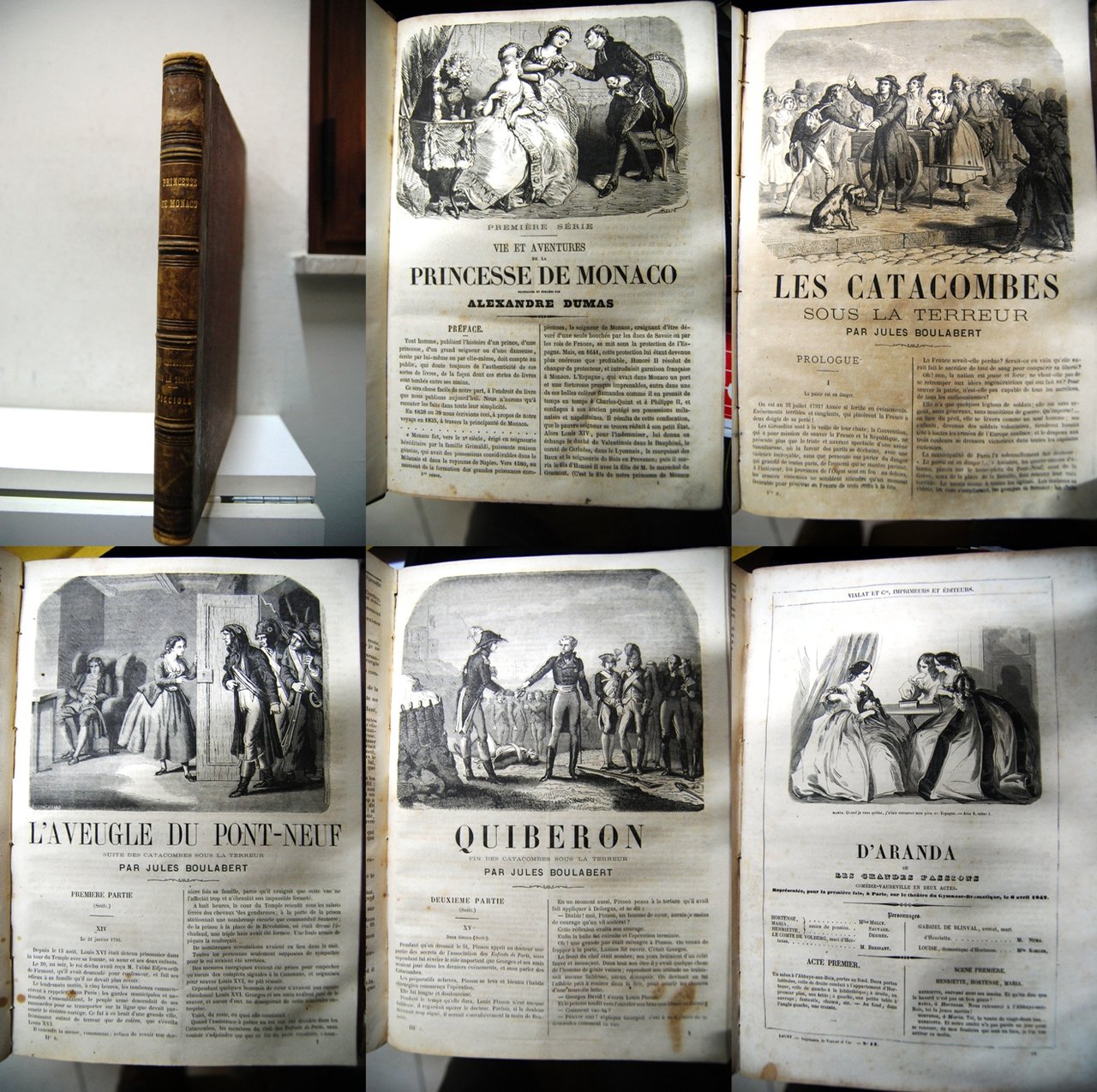 Vie et aventures de la princesse de monaco