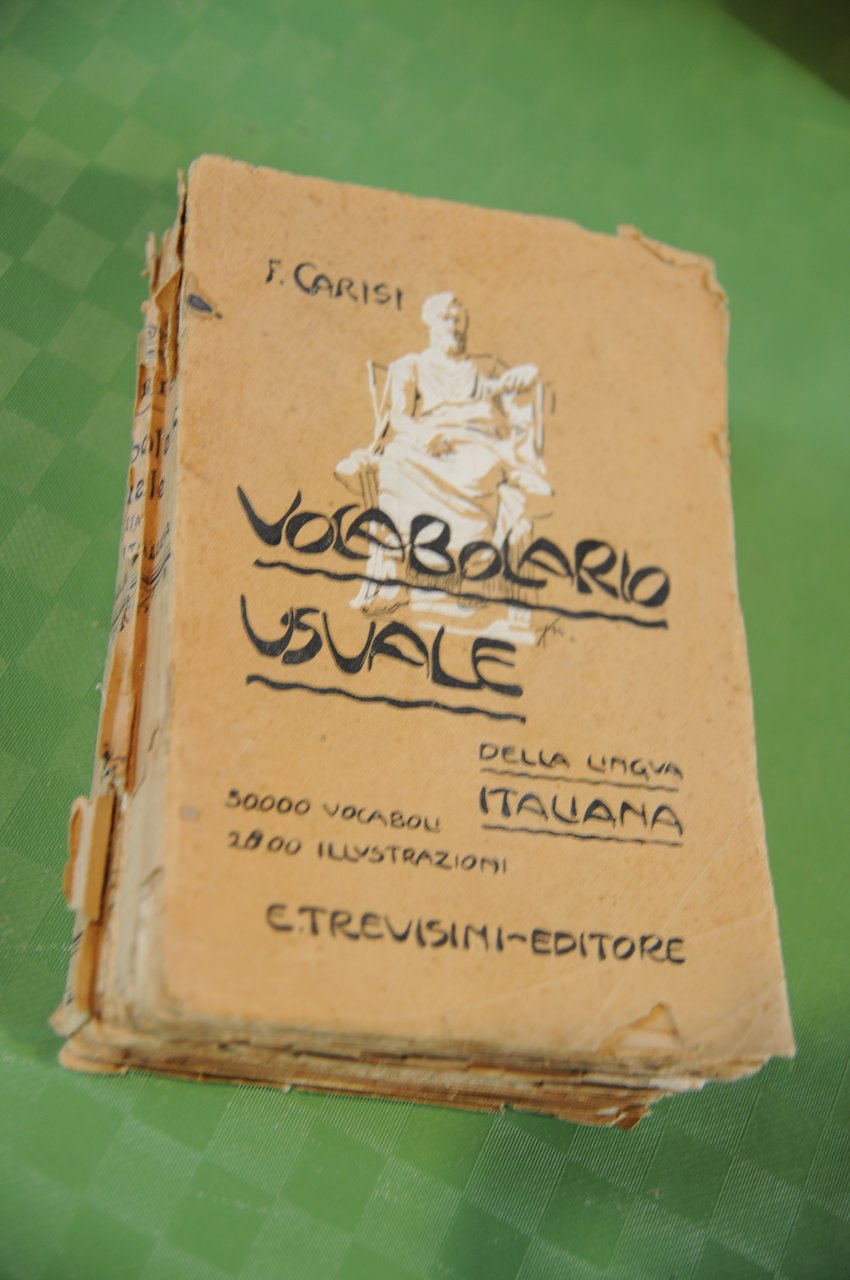vocabolario usuale della lingua italiana