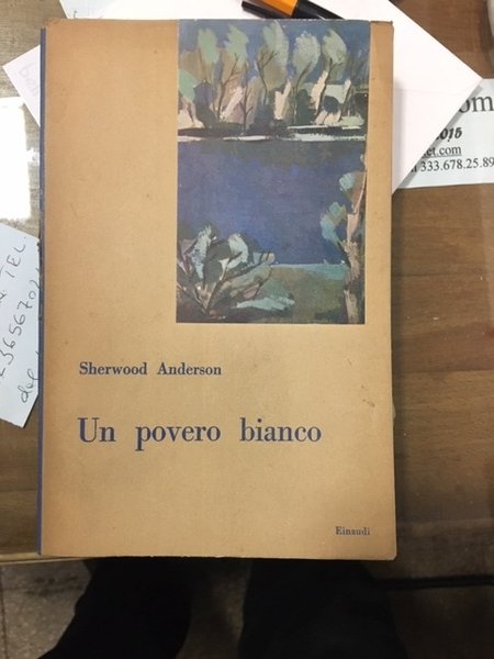 Un povero bianco