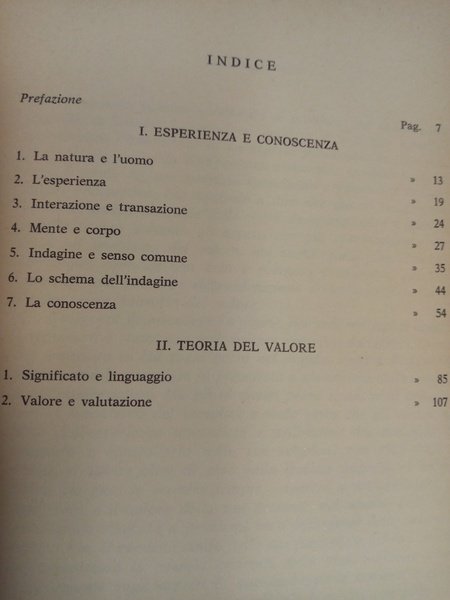 Esperienza e valore nel pensiero di John Dewey | Immagine principale