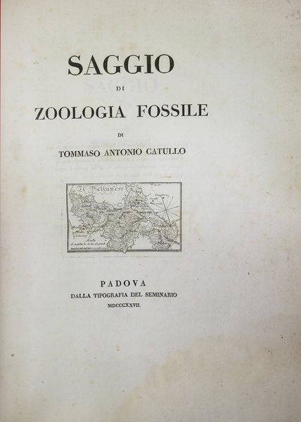 SAGGIO DI ZOOLOGIA FOSSILE. - Ovvero osservazioni sopra li petrefatti …