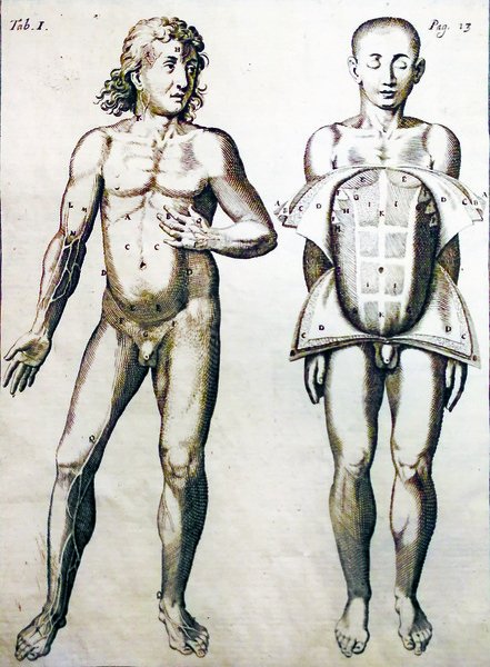 TAVOLE ANATOMICHE DEL VESLINGIO. - Spiegate in lingua italiana, dedicate …