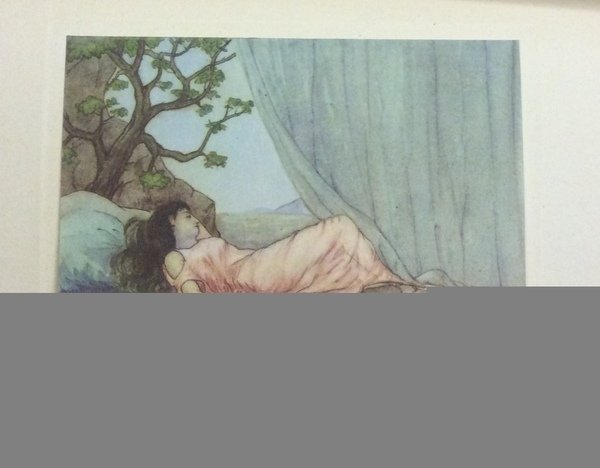 LIBER CANTICUM CANTICORUM SALOMONIS. - Donatello Bramanti Flo[Rentinus] Manuscripsit Atque …