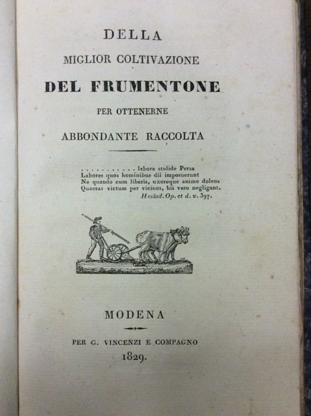 DELLA MIGLIOR COLTIVAZIONE DEL FRUMENTONE PER OTTENERNE ABBONDANTE RACCOLTA.